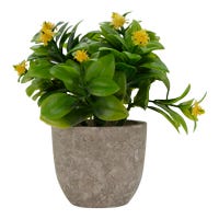 Planta artificial 11 cm ATA3004 Home Sweet Home