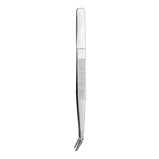 Pinza con punta curva de precisión de acero inoxidable 15 cm PL TTC Qualité Premium