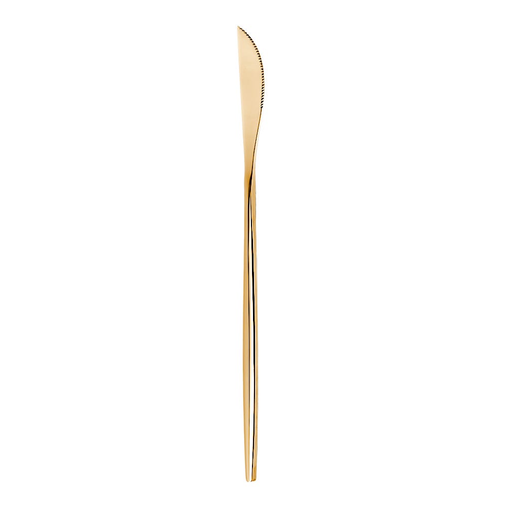 Juego de 16 cubiertos de acero inoxidable dorado ATSC247G Acenox