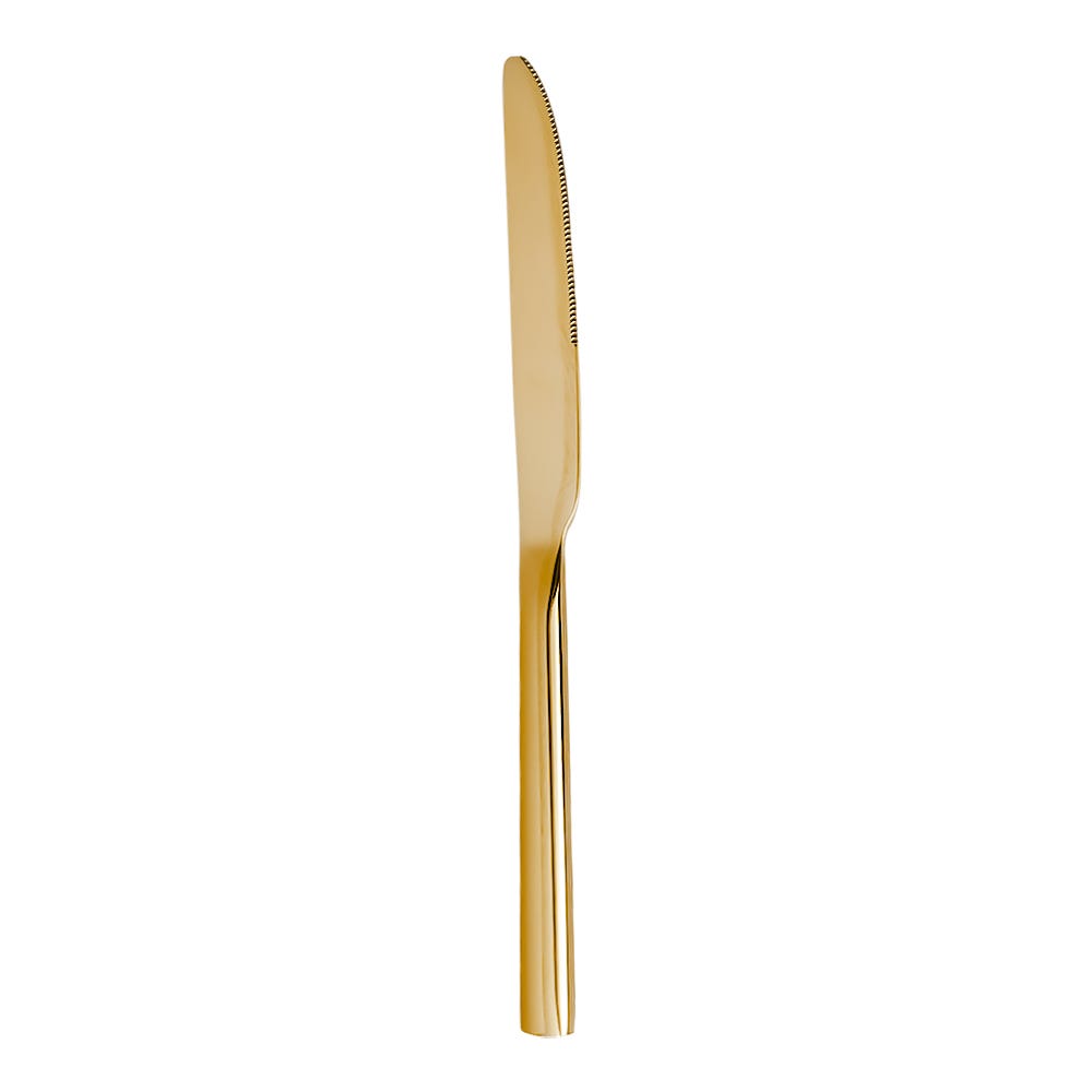 Juego de 16 cubiertos de acero inoxidable dorado ATS249G Acenox
