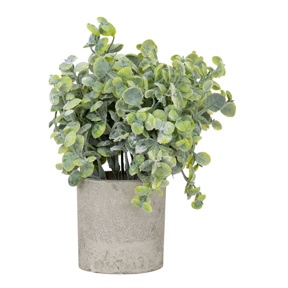 Juego de 3 plantas artificiales con macetas ATD3139 Home Sweet Home
