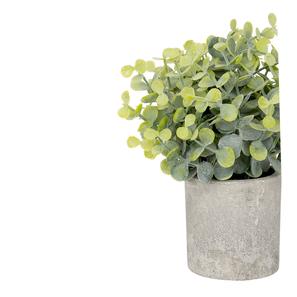Juego de 3 plantas artificiales con macetas ATD3139 Home Sweet Home